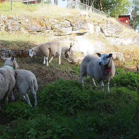 Bella Karnes Διαμέρισμα *