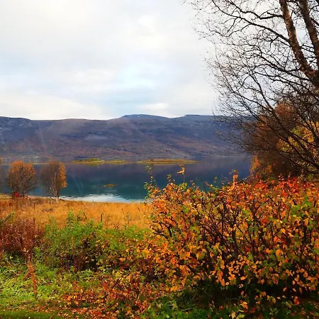 Bella Karnes Διαμέρισμα Oksvik