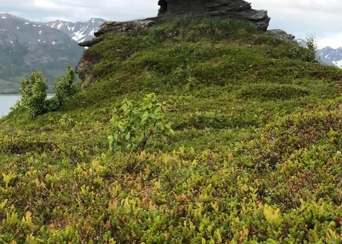 Bella Karnes Lägenhet