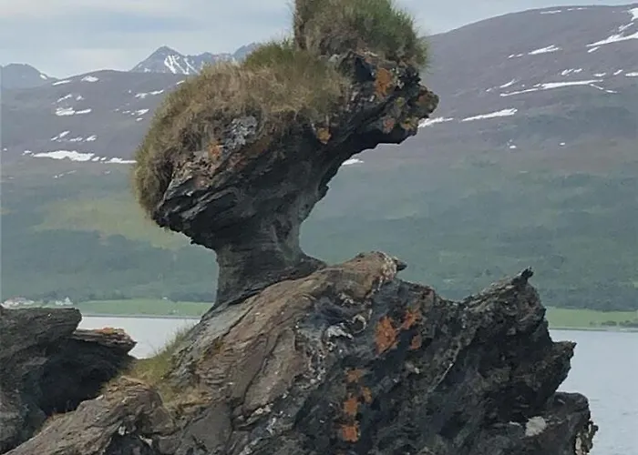 Bella Karnes Lägenhet Oksvik