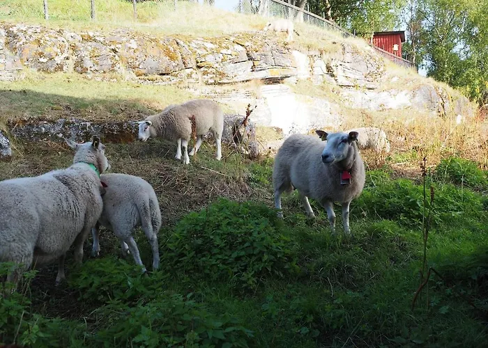 Bella Karnes Lägenhet *