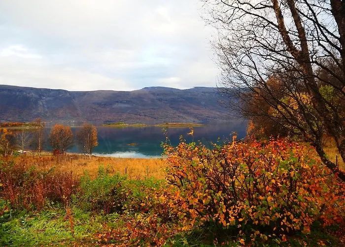 Bella Karnes Lägenhet Oksvik