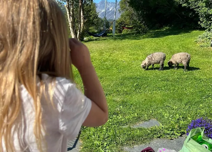 Bella Karnes Lägenhet Oksvik